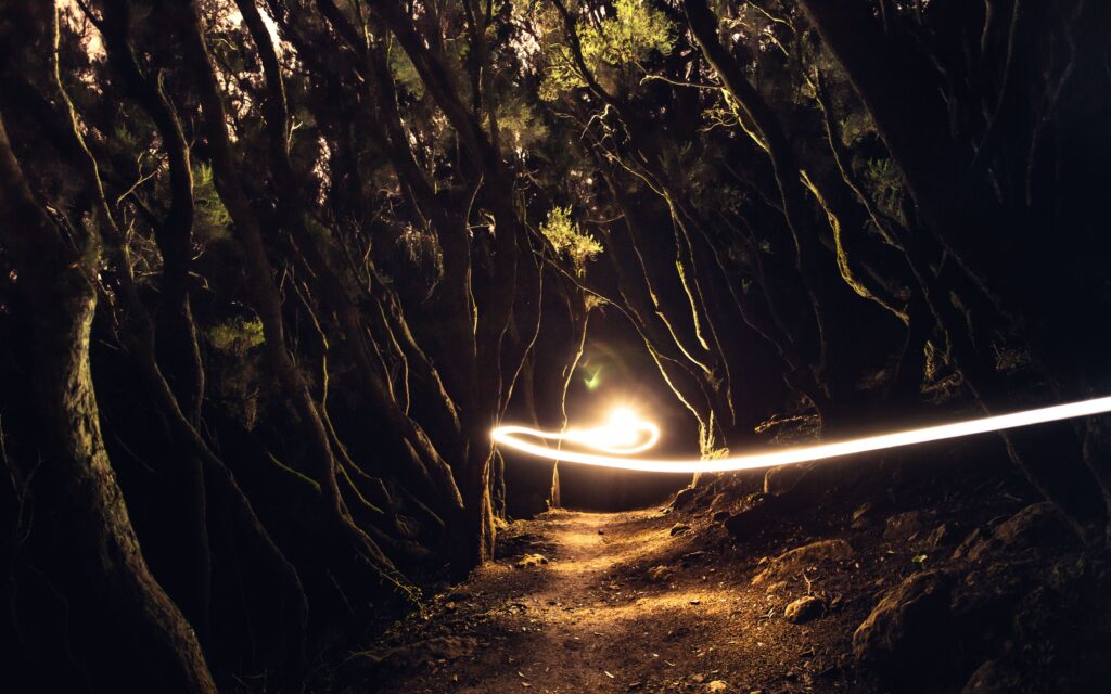 A long-exposure photograph taken from a low angle in a dark forest, showing a moss-covered, tree-lined path on which a bright, horizontal streak of light casts a glowing
